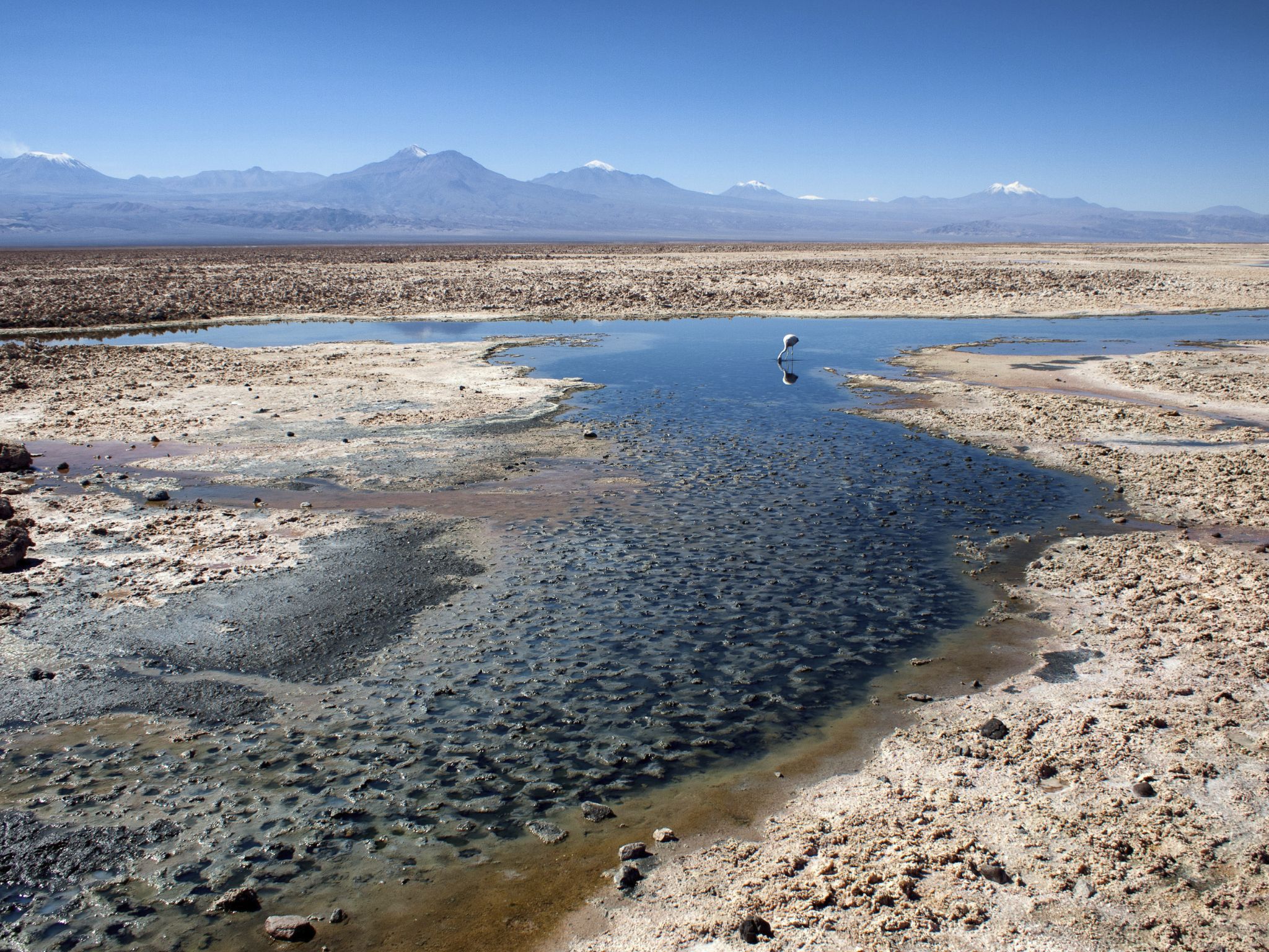 115 Salar de Atacama